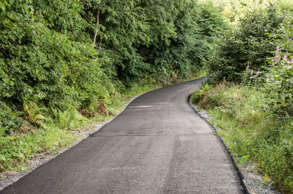 Asphalt Driveway Replacement in Novato